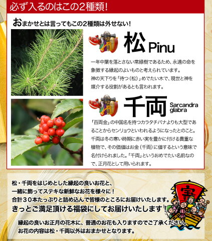 お正月 迎春 正月飾り 送料無料 生花 切り花 福袋 30本 特盛 12 21 12 30の間で日時指定ok 早割 門松 生花 羊の皮をかぶったテレビ お正月 迎春 正月飾り 送料無料 生花 切り花 福袋 30本 特盛 12 21 12 30の間で日時指定ok 早割 門松 生花 羊の皮をかぶったテレビ