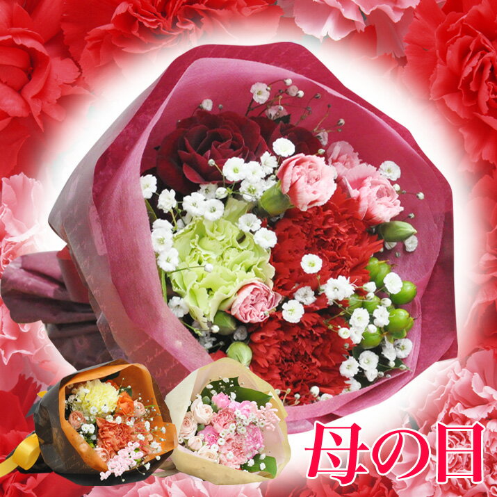 母の日 花束 2025 ブーケ プレゼント 送料無料 カーネーション フラワーギフト 母の日ギフト お花 【JF】 [HPB/ハッピーブーケ（母の日）]のサムネイル