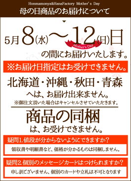 母の日 花束 ギフト 送料無料 カーネーション ハッピー ブーケ プレゼント 用 ギフトボックス でお届け 母の日ギフト アレンジメント アレンジ 花 お花 鉢花 鉢植 鉢植え ランキング サプライズ