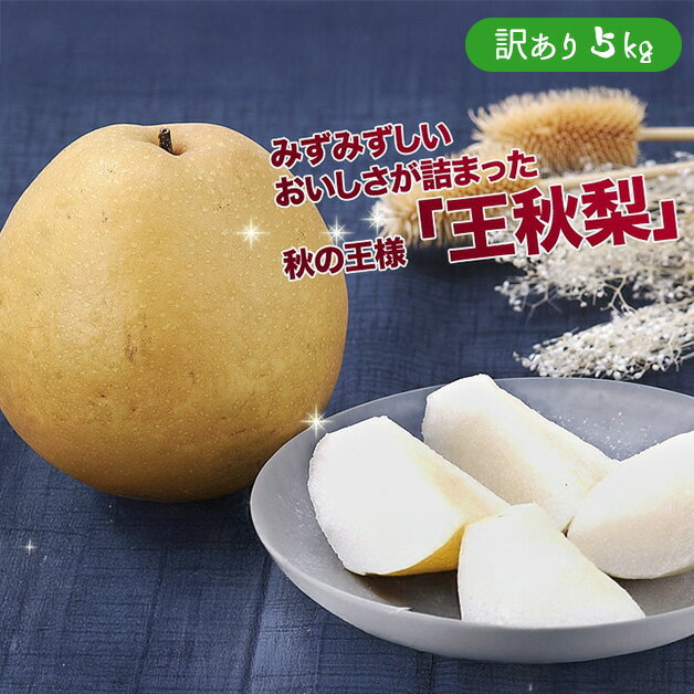 【出荷中!!】ケース 箱売り 王秋梨 おうしゅうなし なし ナシ 訳あり 5kg 〇等級 大玉 和梨 赤梨 フルーツ 果物 鳥取 自宅用 家庭用 フードロス ま...