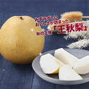 【出荷中!!】ケース 箱売り 王秋梨 おうしゅうなし なし ナシ 5kg 大玉 和梨 赤梨 フルーツ 果物 鳥取 自宅用 家庭用 まとめ買い 訳あり 送料無料 ...