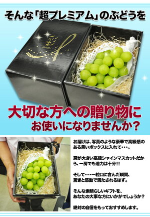 店長激オシ!!【送料無料】種無しで皮ごと食べられるぶどう山梨県産「シャインマスカット(ハウス栽培)」高級化粧箱入り【RCP】【お中元/ギフト/お盆】