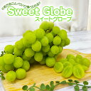 SNSで話題のぶどう スイートグローブ スウィートグローブ sweet globe ブドウ 葡萄 海外産 産地おまかせ チリ アメリカ カナダ 緑ぶどう グリー...
