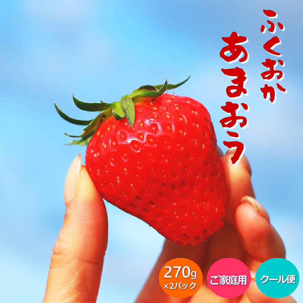 安いあまおう|訳ありなど!コスパが良くて人気の美味しい 安いあまおう|訳ありなど!コスパが良くて人気の美味しい