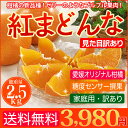 送料無料 愛媛産みかん 紅まどんな 2.5kg 訳あり 家庭...