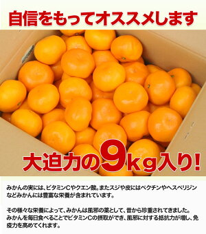 【店長激オシ送料無料!みかんシーズンの最後を飾るどこか懐かしい味わい和歌山県産蔵出しみかん9kg