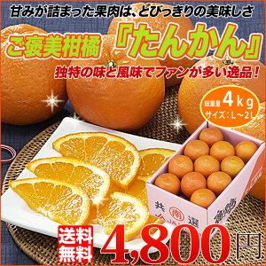 店長激オシ送料無料!甘みが詰まった柔らかい果肉!鹿児島県産「たんかん」(L〜2Lサイズ総重量約5kg)