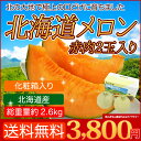 北海道 メロン 赤果肉 2玉入り 1玉1.3kg以上 送料無...