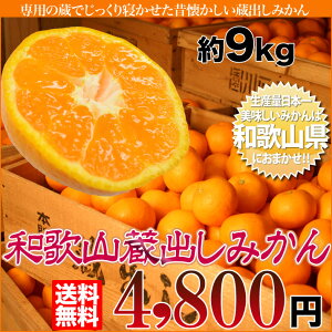 店長激オシ送料無料!みかんシーズンの最後を飾るどこか懐かしい味わい和歌山県産蔵出しみかん9kg