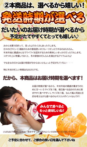 【送料無料】ギュっと詰まった濃厚な味わい!ゆら(由良)のみかん訳ありたっぷり7kg