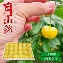 予約 産地直送 さくらんぼ サクランボ 月山錦 化粧箱 幻の黄色いさくらんぼ 桜桃 チェリー 大粒 フルーツギフト プレゼント 贈呈 山形県産 24粒 がっさん...
