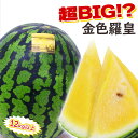 【数量限定】BIGなすいか 鳥取県産 or 和歌山県産 大玉すいか 金色羅皇 1玉 約12kg 以上 超特大 産地リレー スイカ 西瓜 ギフト プレゼント 贈答...