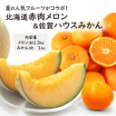 お中元 2025 フルーツ ギフト 送料無料 北海道 赤肉メロン ハウスみかん セット 御中元 果物 お盆のお供えにも フルーツ 果物 詰め合わせ プレゼント ...