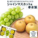 山梨県 or 長野県 シャインマスカット 1房 約350g 福岡県 or 佐賀県 幸水梨 4玉 約1kg 1玉 250g セット 詰め合わせ 果物 フルーツ ギ...