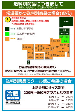 彼岸 お供え お悔やみ 花 法要 一周忌 四十九日 供花 即日 葬儀 供養花 ◆ お悔やみ花 お供え花 生花 フラワーアレンジメント 選べる リボン 仏事 命日 枕花 などに あす楽 正午まで