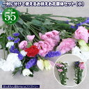 お供え お悔やみ 彼岸 花 法要 一周忌 四十九日 供花 即日 葬儀 供養花 お供え花 生花 切り花 一対 小サイズ 供花 仏事 枕花 送料無料 あす楽 一対で使える切り花 Sサイズ 