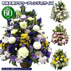 https://thumbnail.image.rakuten.co.jp/@0_mall/kk-jandf/cabinet/osonae/osonae_arrange/osonae-ll-top-r.jpg