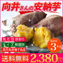 訳あり さつまいも 安納芋 送料無料 鹿児島県種子島産さつまいも 濃厚な味わいの安納芋(蜜芋)訳あり・無選別3kg 焼き芋はもちろん干し芋にも! あんのういも・あんのんいも