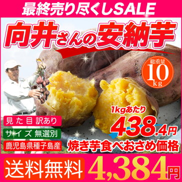 安納芋 種子島産 送料無料 訳あり 無選別 10kg さつまいも 焼き芋 はもちろん干し芋にも 翌日お届け