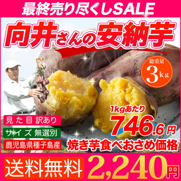 さつまいも 安納芋 種子島産 送料無料 訳あり 無選別 3kg 焼き芋 はもちろん干し芋にも