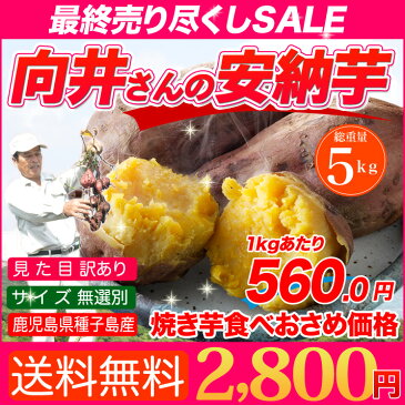 安納芋 種子島産 送料無料 訳あり 無選別 5kg さつまいも 焼き芋 はもちろん干し芋にも 向井さんのあんのういも サツマイモ