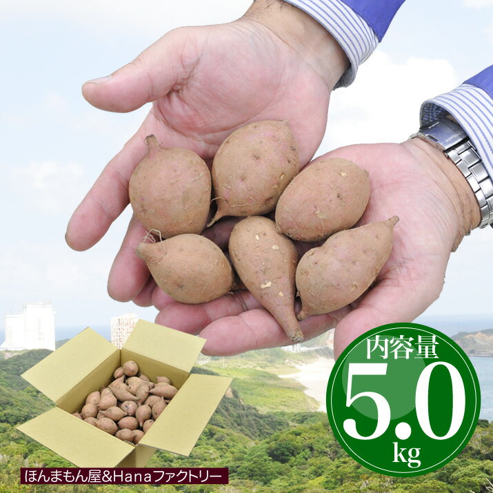 安納芋 種子島産 極小サイズ 送料無料 訳あり 5kg 小さいミニサイズのさつまいも サツマイモ 焼き芋 はもちろん干し芋にも 【MR】 [向井さんの安納芋極小サイズ5kg]のサムネイル