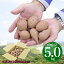 安納芋 種子島産 極小サイズ 送料無料 訳あり 5kg 小さいミニサイズのさつまいも サツマイモ 焼き芋 はもちろん干し芋にも