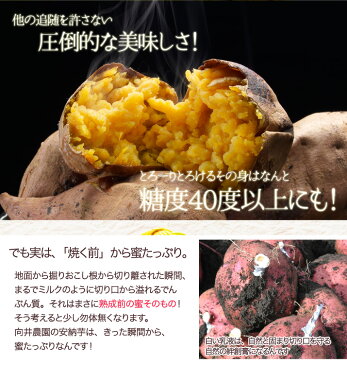 さつまいも 安納芋 種子島産 送料無料 訳あり 無選別 3kg 焼き芋 はもちろん干し芋にも