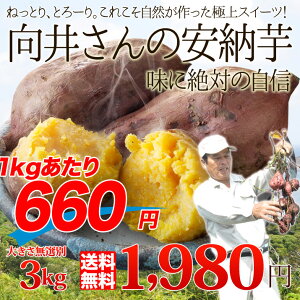 【送料無料】鹿児島県種子島産濃厚な味わいの『安納芋』(訳あり・無選別)3kg