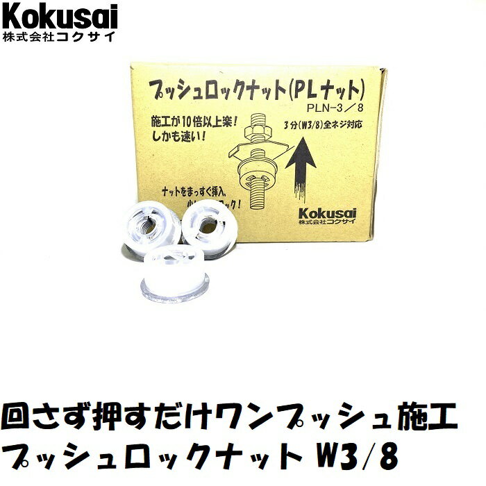 当日出荷・送料無料コクサイプッシュロックナット100個入天カセ ダイス パッケージ PLナット SS対象