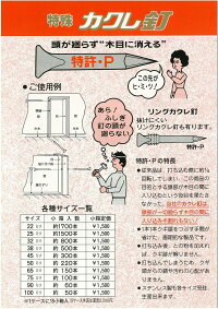 木工用特殊釘カクレ釘線径3.8×長さ100