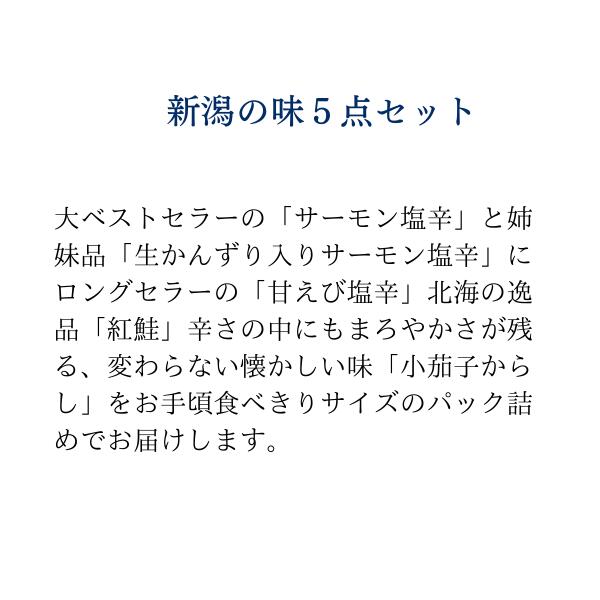 新潟の味5点セット サーモン塩辛 2種 甘えび 塩辛 紅鮭 小茄子からし 新潟 三幸詰め合わせ 高級 ギフト プレゼント 誕生日 御祝い 内祝 海鮮珍味 海鮮ギフト お取り寄せ グルメ おつまみ ご飯のお供 お返し 結婚祝い 退職祝い 父の日 2