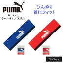 冷感タオル クールタオル キッズ プーマ スリム スポーツタオル ブランド グレー 記念品 クリスマス おしゃれ 雑貨 lal filo