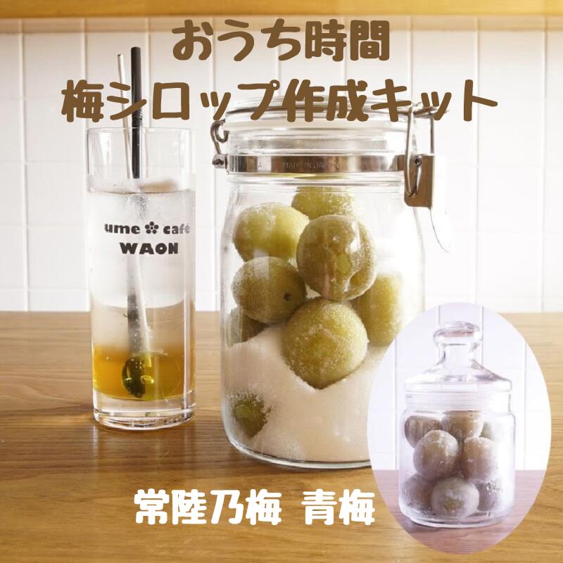【梅シロップ作成キット(常陸乃梅青梅)】【クール便発送】 梅シロップ 梅ジュース ノンアルコール 希釈タイプ 水 炭酸 お湯 熱中症対策 ギフト 贈答 おうち時...