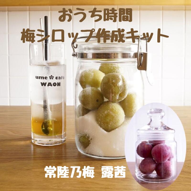 【梅シロップ作成キット(常陸乃梅露茜)】【クール便発送】 梅シロップ 梅ジュース ノンアルコール 希釈タイプ 水 炭酸 お湯 ギフト 贈答 おうち時間 umec...