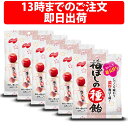 あめ・キャンディ ノーベル 梅ぼしの種飴 30g 6袋 セット 梅干し 種 ノーベル製菓 種飴 あめ キャンディ タブレット お菓子 梅ぼしの種 間食 休憩 うまい うめ 梅ぼし 梅干し 女性 男性 商品 濃厚 梅ぼし味 ペースト 梅肉ペースト 梅ぼしの種飴 梅ぼし ノーベル