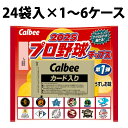 【2025年5月5日発売】カルビー 2025プロ野球チップス 第1弾 うすしお味 22g 発売日 24袋セット 1ケース 2ケース 4ケース 6ケース 送料無料...