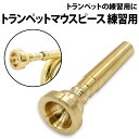 \50%offクーポン有/ 楽天1位 トランペット マウスピース 練習用 ゴールド 吹奏楽 自宅 練習 初心者 吹奏楽部 自宅練習用 ビギナー 学校 バンド 金...