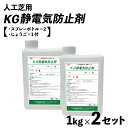 【送料無料】人工芝用 KG静電気防止剤 1kgボトル 2個セット 約13平米分 スプレー容器付 静電気除去グッズ・静電気除去・静電気防止・静電気防止スプレー・静電気 防止 グッズ・静電気 衣類・静電気除去方法・静電気対策 屋内遊具