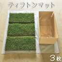 ティフトンマット　3枚セット【約0.5平米】　ティフトン芝　天然芝　ティフトン切芝　雑草対策 校庭緑化　グランド …