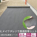 ヒメイワダレソウポット苗専用防草シート 2m×5m U字留めピン(30本付)【透水性通根シート】植栽準備 雑草対策※今なら抑え丸(30個)プレゼント!花苗 イワ...