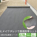 【送料無料】ヒメイワダレソウポット苗専用防草シート【2m×10m】U字留めピン(50本付)【透水性通根シート】防草 雑草抑制 ※今なら抑え丸(50個)プレゼント...