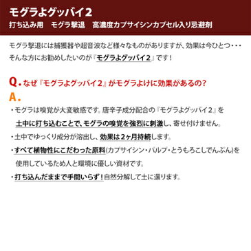 【モグラよグッバイ2】モグラ 撃退 もぐら 退治 モグラよけ モグラ 対策に　100本入:パワーアップして登場！唐辛子入りでモグラ撃退！（カプサイシン入り忌避剤きひざい）