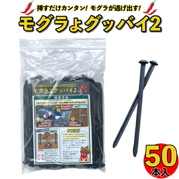 モグラ退治 みんな探してる人気モノ モグラ退治 花 ガーデン Diy モグラ退治 みんな探してる人気モノ モグラ退治 花 ガーデン Diy