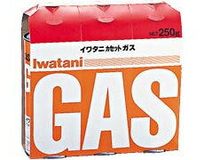 岩谷産業 イワタニ カセットガス 1ケース(48本入) カセットボンベ CB-250-OR