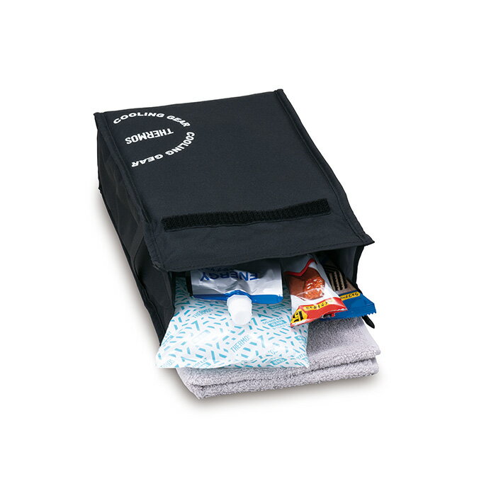 サーモス 保冷バッグインバッグ 3L ブラック REY-0031 BK 【THERMOS 保冷 エコバッグ 折りたたみ コンパクト 保冷剤 お弁当 ランチバッグ 熱中症対策】