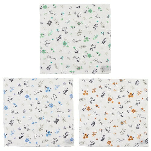 スケーター かや生地ふきん 3枚セット SNOOPY スヌーピー KFKC3 【30×30cm 蚊帳織 かやおり 布巾 キャ..