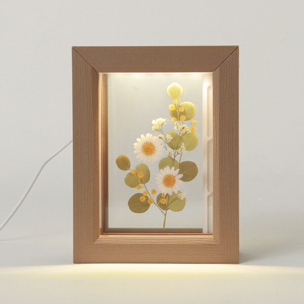 送料無料　東洋ケース MHUM-FM-02 加湿器MINI HUMIDIFIER　Frame　ウォルナット