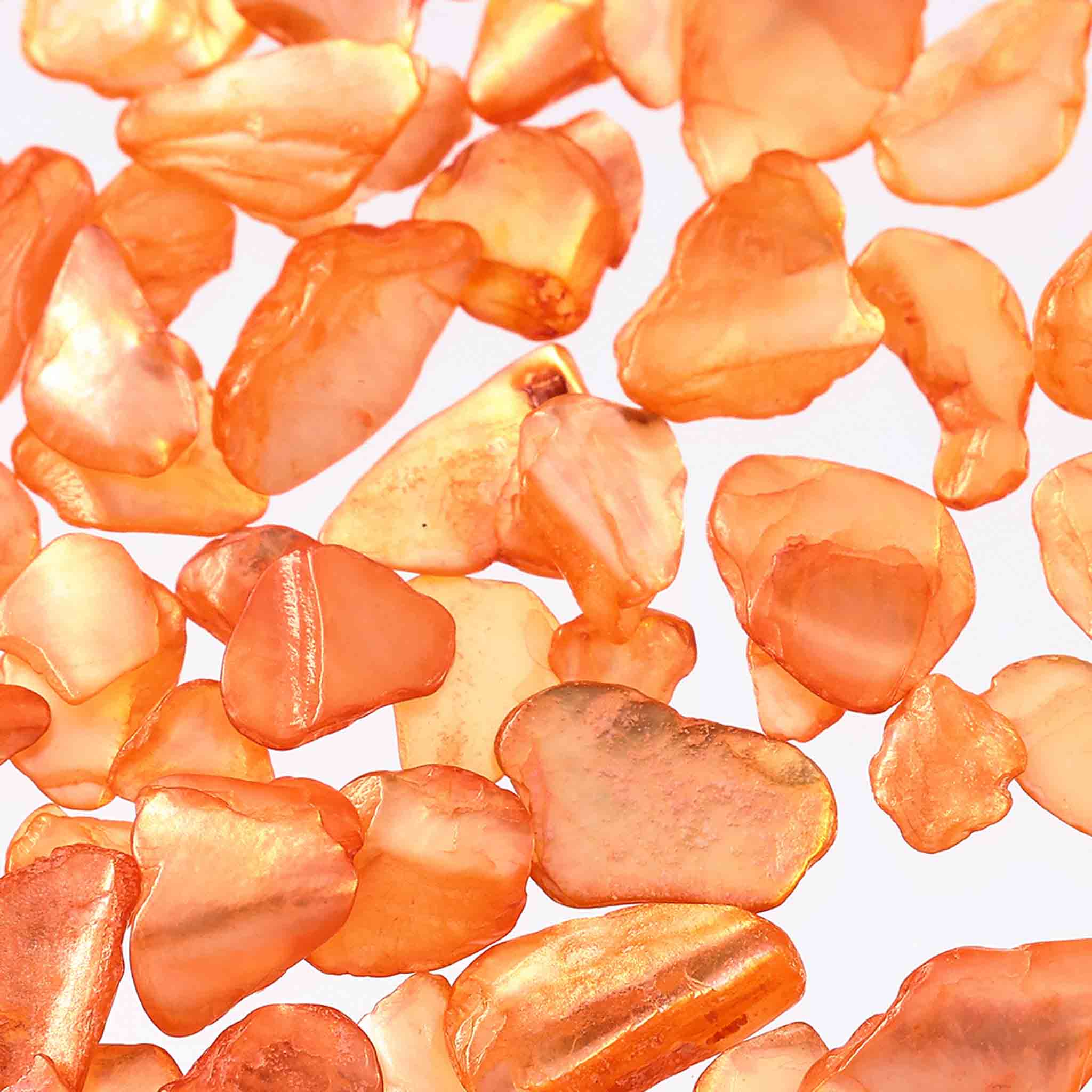 ������P5�ܡ��ڤޤȤ��㤤�������� �ͥ���ѡ��� ������ ���ȡ��� ����� 50g 1��7mm ���� �쥸�� �ͥ��륢���� �ǥ� ����å��� �ϥ�ɥᥤ�� �ѡ��� BD3394