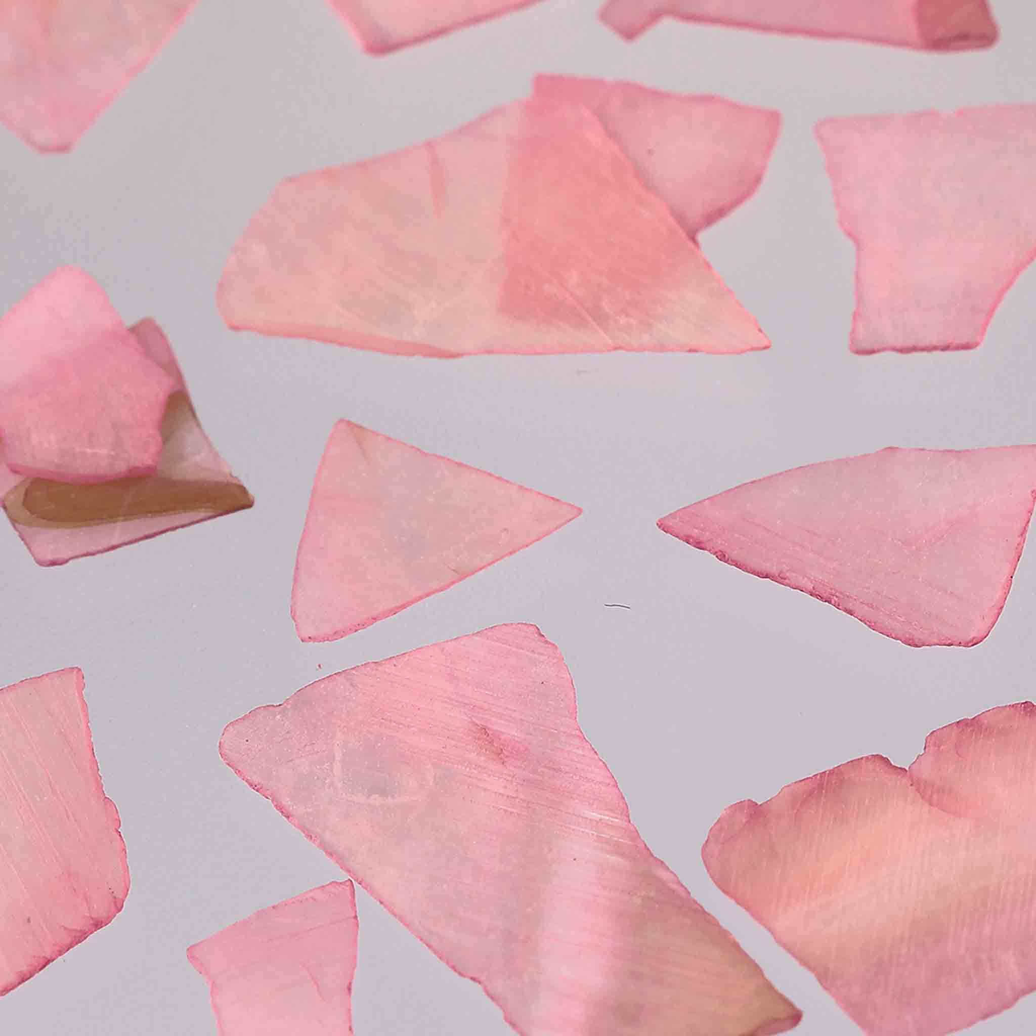 ������P5�ܡ��ڤޤȤ��㤤�������� �ͥ���ѡ��� ������ �ե졼�� �ԥ� 50g 4��22mm ���� �쥸�� �ǥ� ����å��� �ϥ�ɥᥤ�� �ѡ��� BD3397